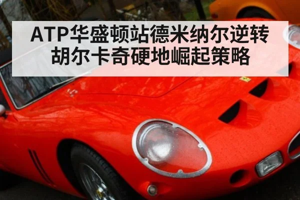 ATP华盛顿站德米纳尔逆转胡尔卡奇硬地崛起策略