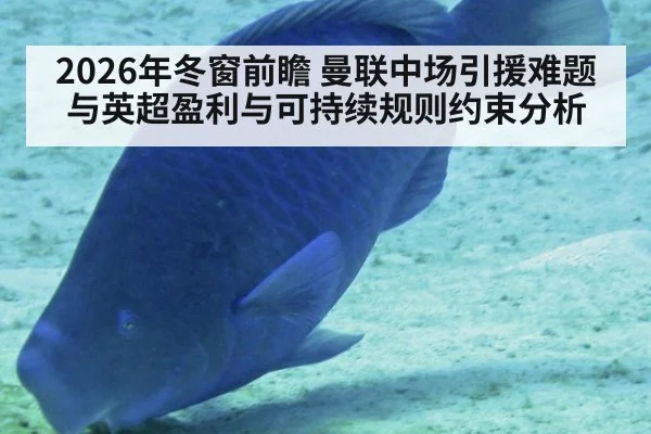2026年冬窗前瞻 曼联中场引援难题与英超盈利与可持续规则约束分析